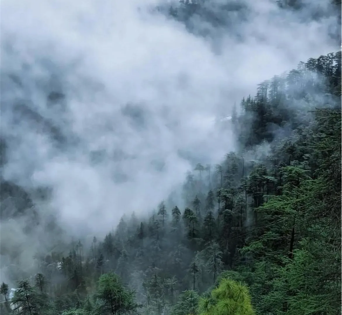 Kudrat homestay Shimla