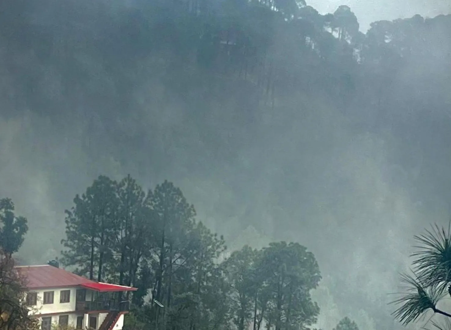 Kudrat homestay Shimla Apartment